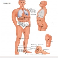 병국철학관 PC 갤러리 0